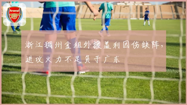 浙江稠州金租外援盖利因伤缺阵,进攻火力不足负于广东